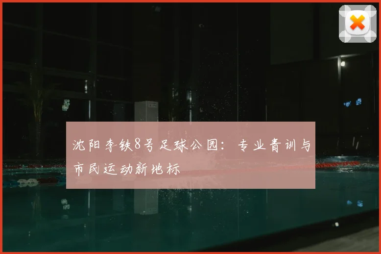 沈阳李铁8号足球公园：专业青训与市民运动新地标