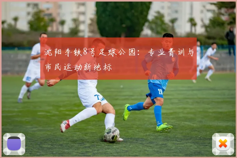 沈阳李铁8号足球公园：专业青训与市民运动新地标